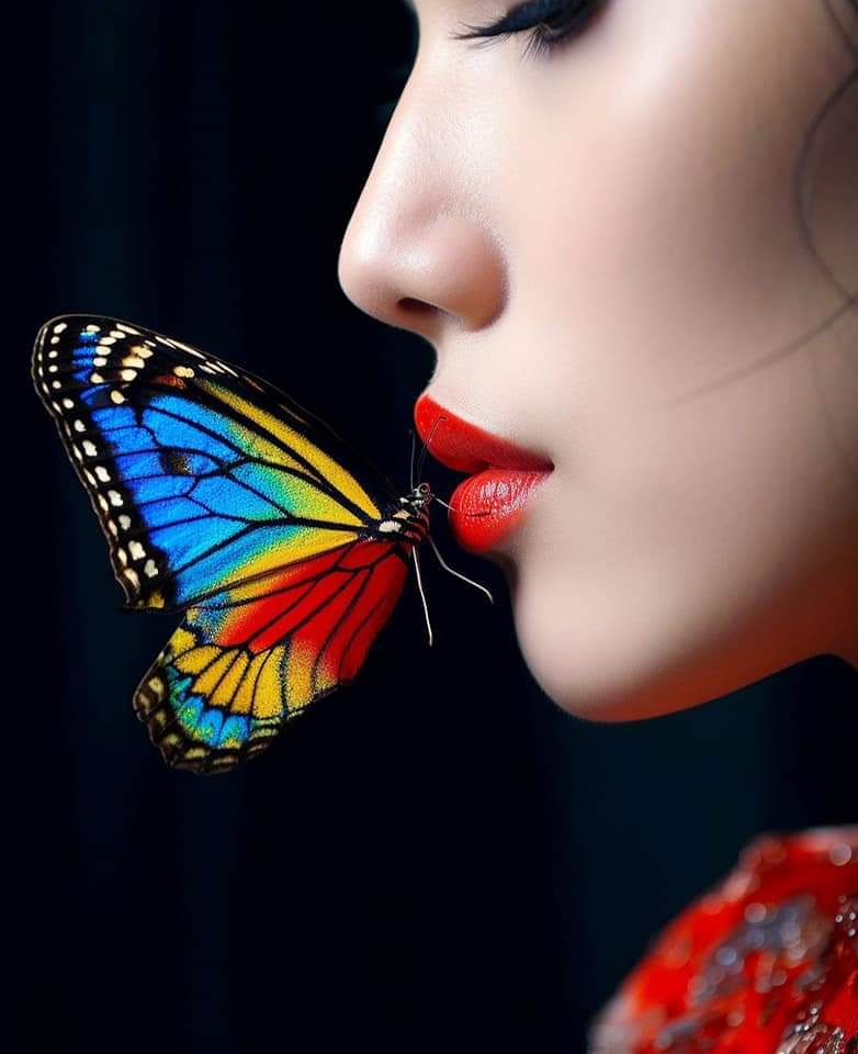 ─˚*ೃ.❥❥˚*ೃ.💜˚*ೃ✨️˚*ೃ. 
˚*ೃ.🪻˚*ೃ. 𝙁𝙀𝙇𝙄𝙕˚𝙉𝙊𝙄𝙏𝙀!💜˚
*ೃ.🌿🌸🌿˚*ೃ.🪻˚*ೃ.❥❥                                          
                   ───˚*ೃ.❥❥.
#TercaResgateSDV
#TercaEsquadraoSDV