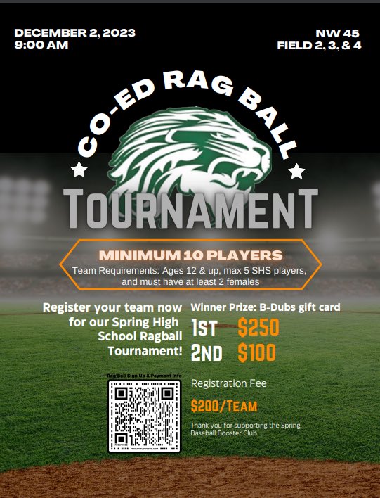 SPRING LION BASEBALL tweet media