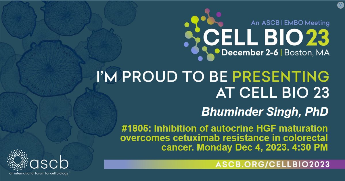 So excited to present work from our lab and collaborators on #DrugResistance in #ColorectalCancer at the @ASCBiology annual meeting 😍 #cellbio2023. Supported by @ACS_Research @ACS_Tennessee @EBCVanderbilt @VUMCResearch @VUMC_Medicine @VUMC_GI @lwelmore0320