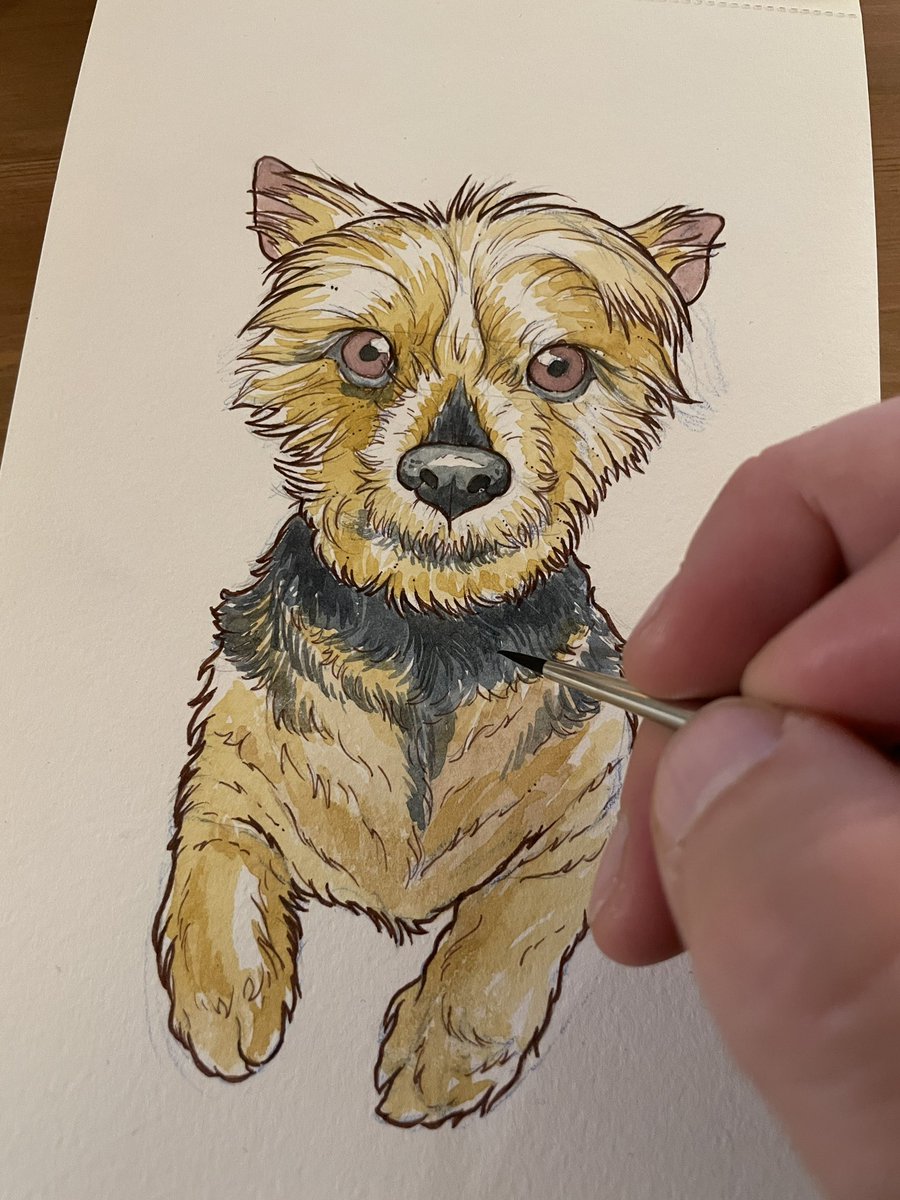 Little commission #watercolor #dog #moleskin #sketchbook #ink #windsorandnewton