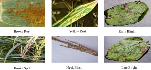 f277r's tweet photo. Hybrid Convolution Neural Network with Transfer Learning Approach for Agro-Crop Leaf Disease Identification
https://t.co/D4U5xQIMYr https://t.co/BgCfE7o2aQ