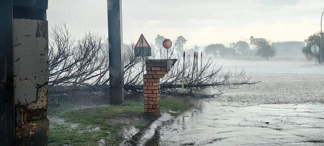 ReenvalSA tweet media