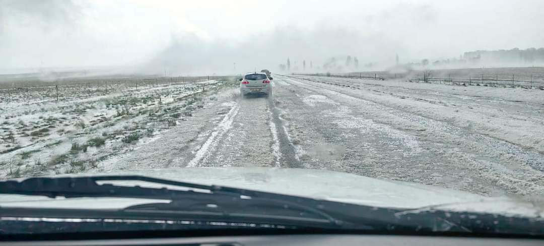 ReenvalSA tweet media