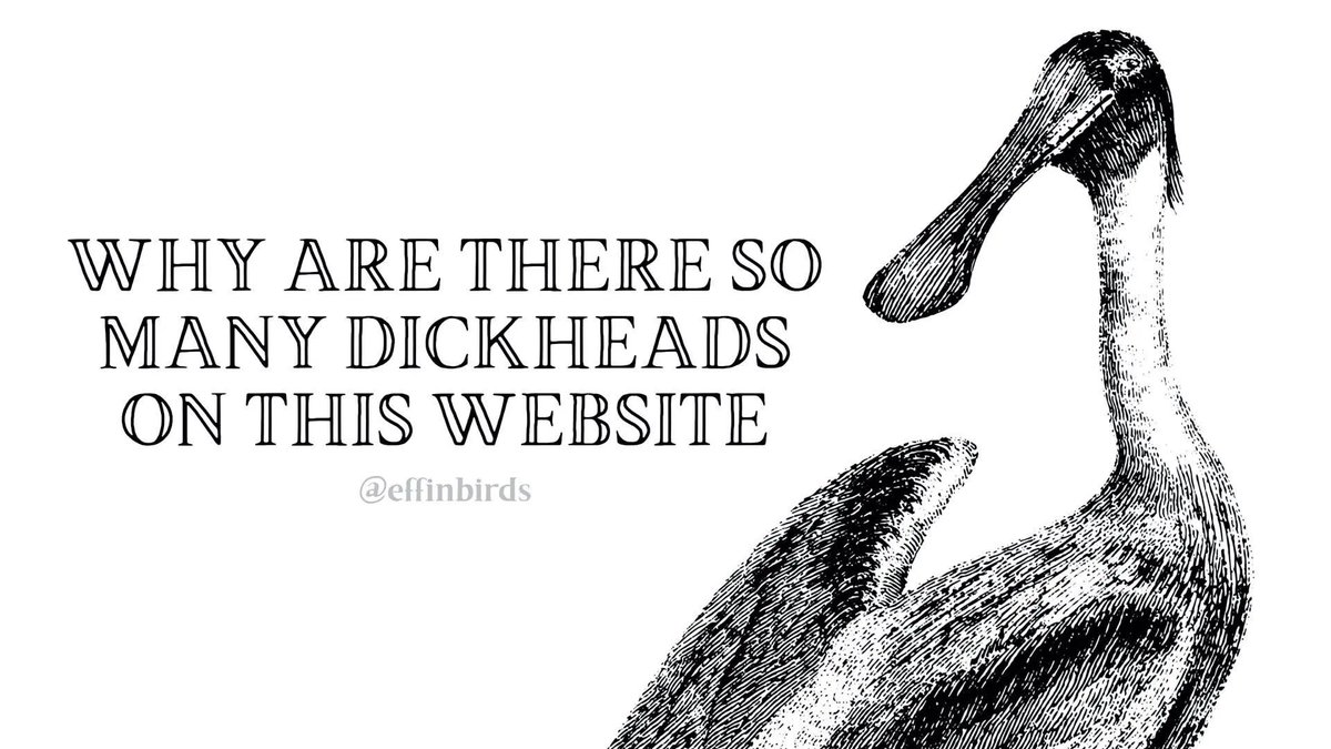 EffinBirds's tweet photo. https://t.co/Yxlf0NcEeT