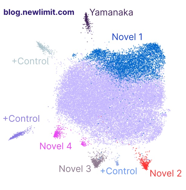 Jacob Kimmel tweet media