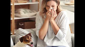 Geile/Leon Marketing tweet media