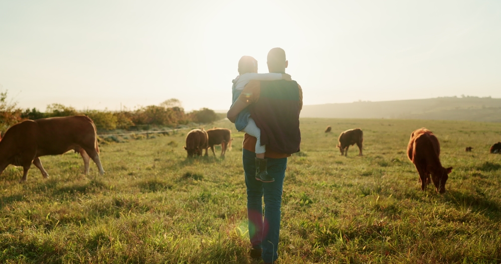 Divorce on the farm: its impact on farming families and what you can do to manage stress: bit.ly/45YI0eB