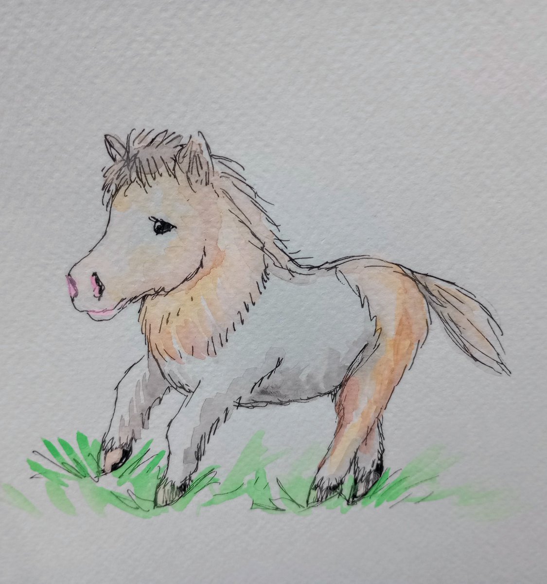 Happy #AnimalAlphabets Monday! Here is my T for Teacup Miniature Horse @AnimalAlphabets Hope you have a great week!💕 #teacupminiaturehorse #teacuphorse #teacuppony #minihorse #tinyhorse #weeklyartchallenge #animalatoz