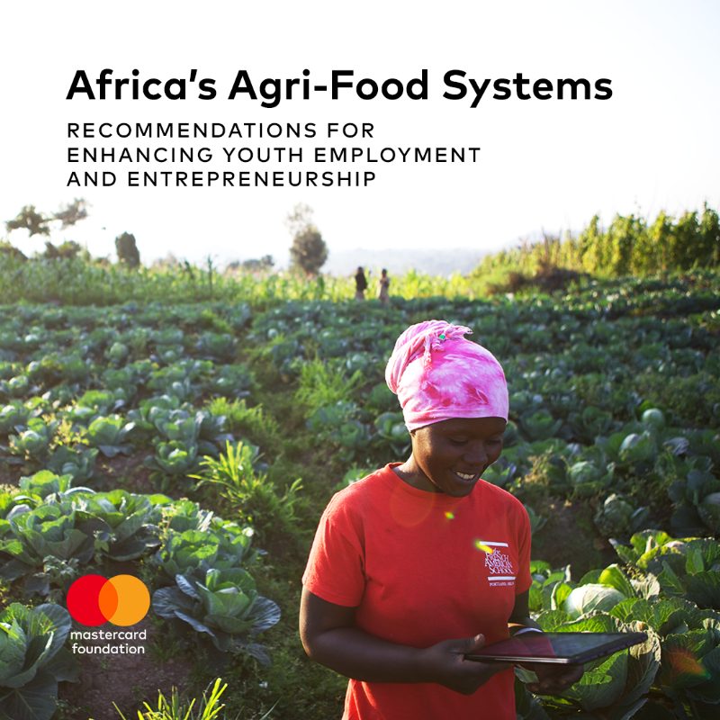 MastercardFdn's tweet photo. For Africaโs agri-food industry to thrive under climate change, the voices of the sectorโs future leaders need to be heard today.โฏ
Read their calls to action here: https://t.co/PpUYmepHyw
