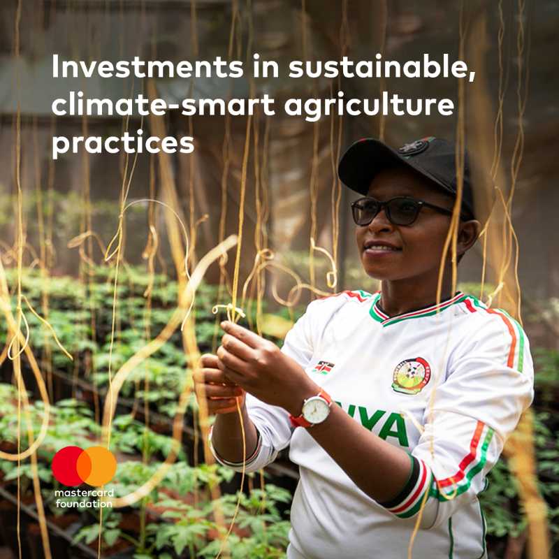 MastercardFdn's tweet photo. For Africaโs agri-food industry to thrive under climate change, the voices of the sectorโs future leaders need to be heard today.โฏ
Read their calls to action here: https://t.co/PpUYmepHyw