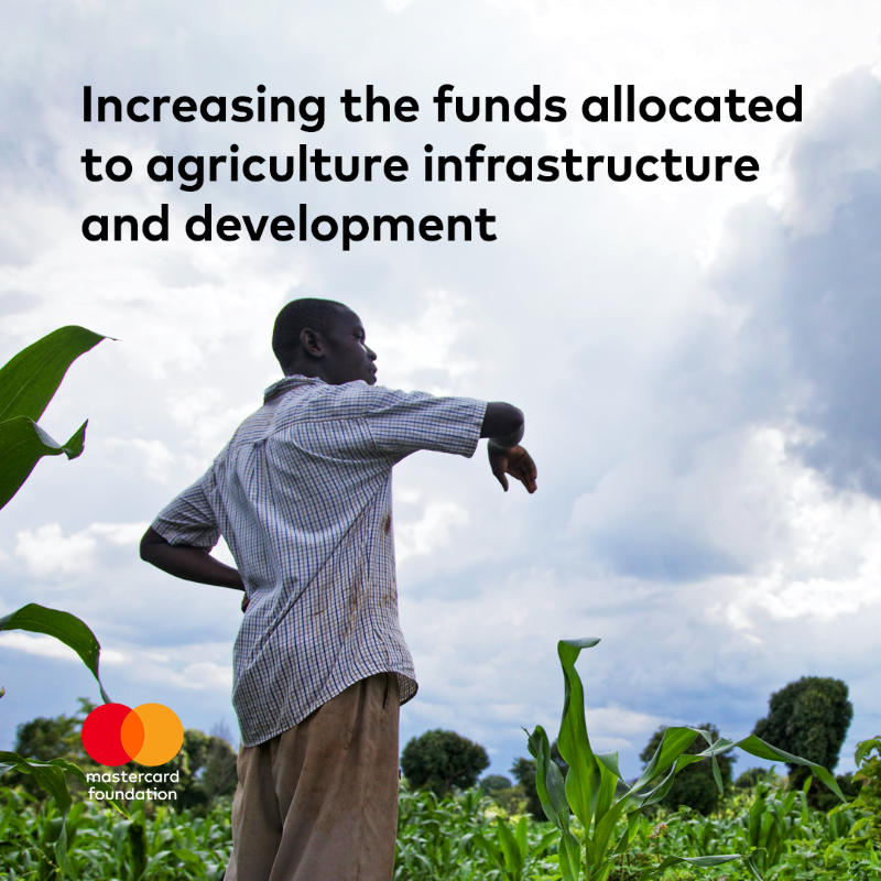 MastercardFdn's tweet photo. For Africaโs agri-food industry to thrive under climate change, the voices of the sectorโs future leaders need to be heard today.โฏ
Read their calls to action here: https://t.co/PpUYmepHyw
