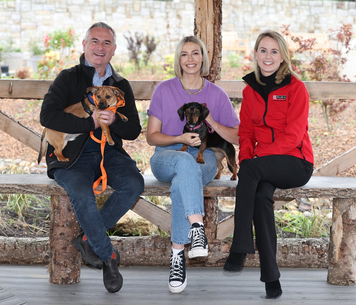 Purina renews partnership with the @DublinSPCA to provide all the food & nutrition for cats and dogs in the care of the DSPCA. It's anticipated that our support will help with the care of over 3,500 cats & dogs over the next two years. 🐶🐱 Read more ➡️ spr.ly/6011uaUEJ