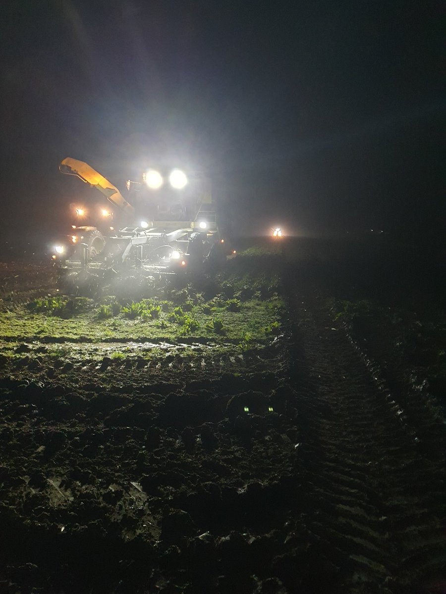 Jeffrey Mul tweet media