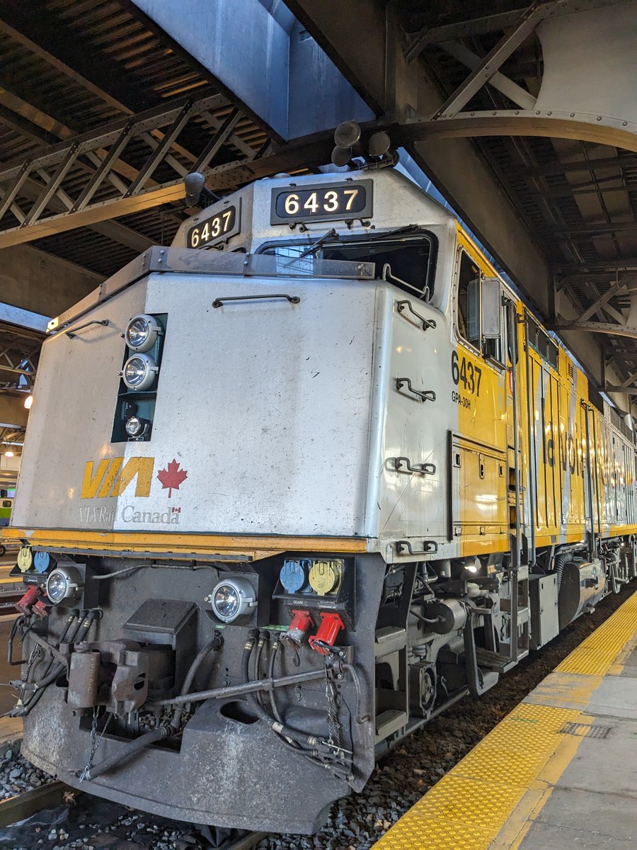 SaraChristineGemson tweet media