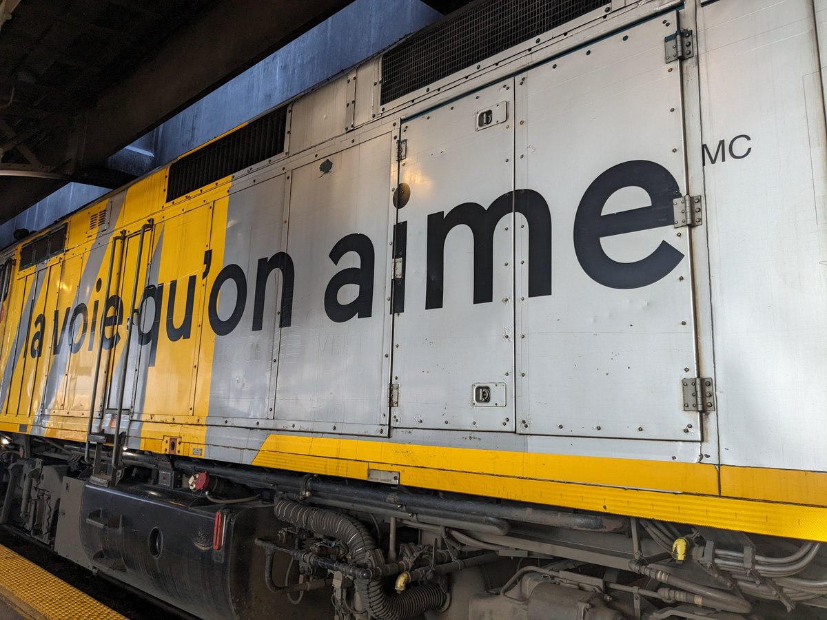 SaraChristineGemson tweet media