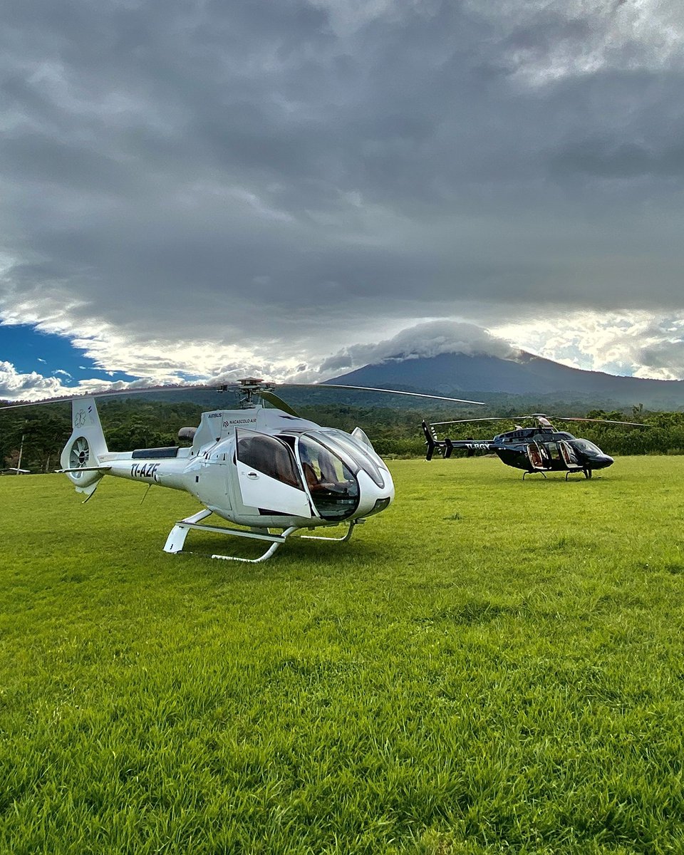 ExploreCookson's tweet image. Costa Rica comes into its own over the festive period.

On past trips, we’ve taken guests by heli to take on tree climbing and abseiling in the jungle, brought in conservation experts for turtle hatching and facilitated world-class scuba diving experiences on the coast.