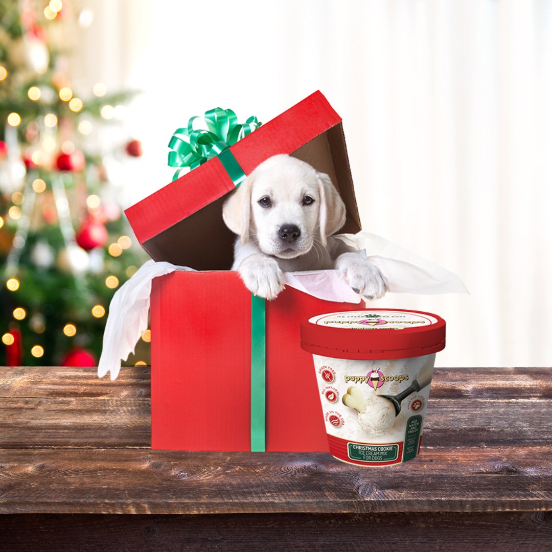 Puppy Cake tweet media