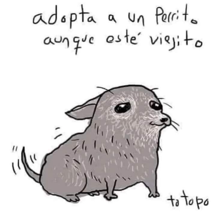 EnsedeCiencia's tweet photo. https://t.co/8BPKDA9aVN