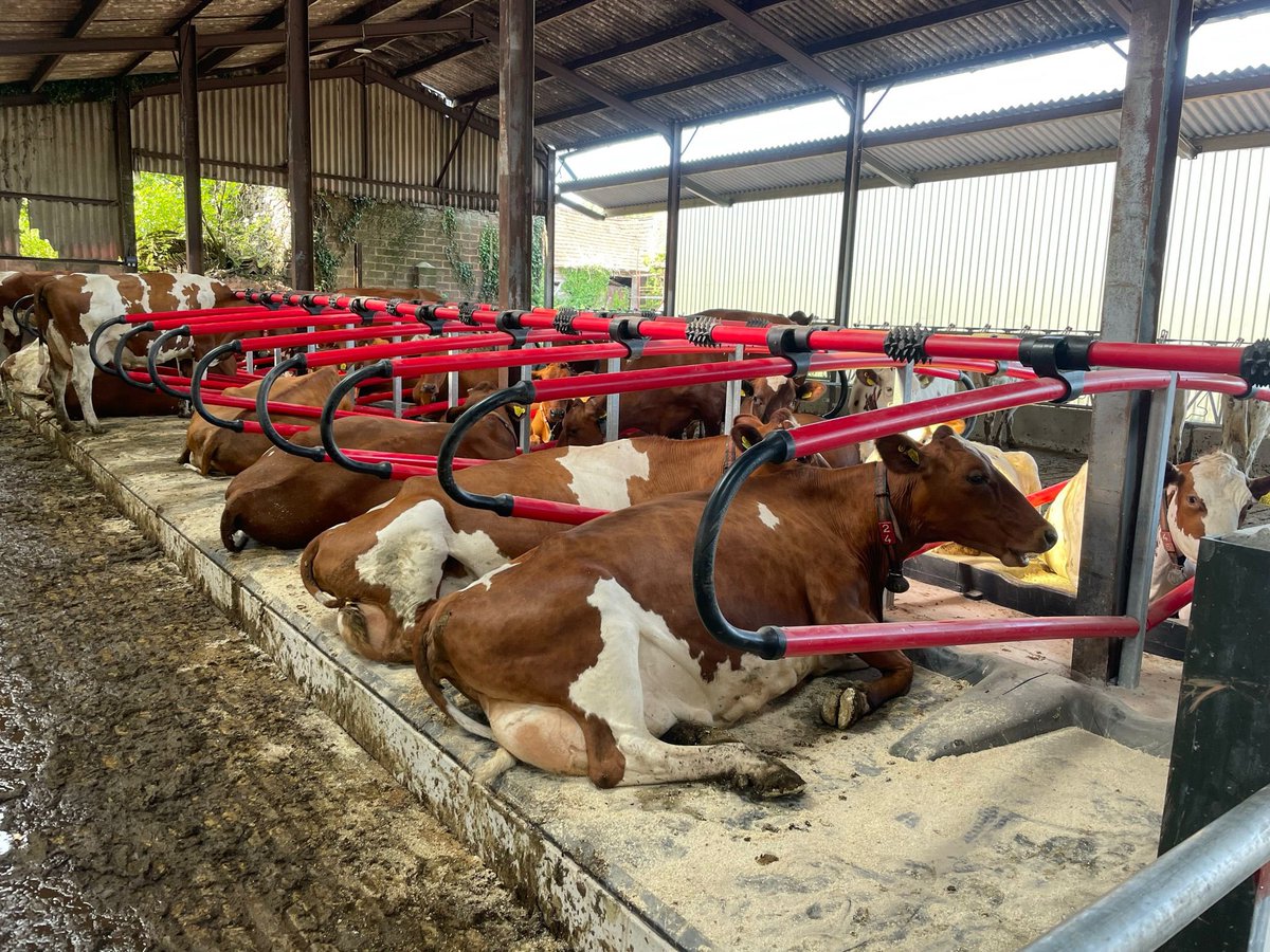EASYFIXOfficial's tweet photo. A recent installation of our Livestock Comfort Solutions fitted in Devon 🇬🇧 

Providing Farmers with peace of mind 👌

Job sold by our dealer @rossfourcows 👏 https://t.co/QOim2ayQlE