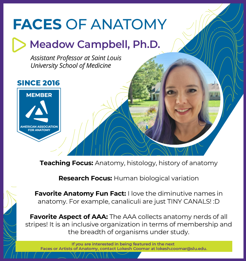 Meet Dr. Meadow Campbell, @_anatomylove_ ! She is this month's Faces of Anatomy feature! If you want to be featured in our next Faces OR Artists of Anatomy, contact lokesh.coomar@slu.edu. ow.ly/SwfS50Q6mbZ #anatomy #science #research #education #AAA