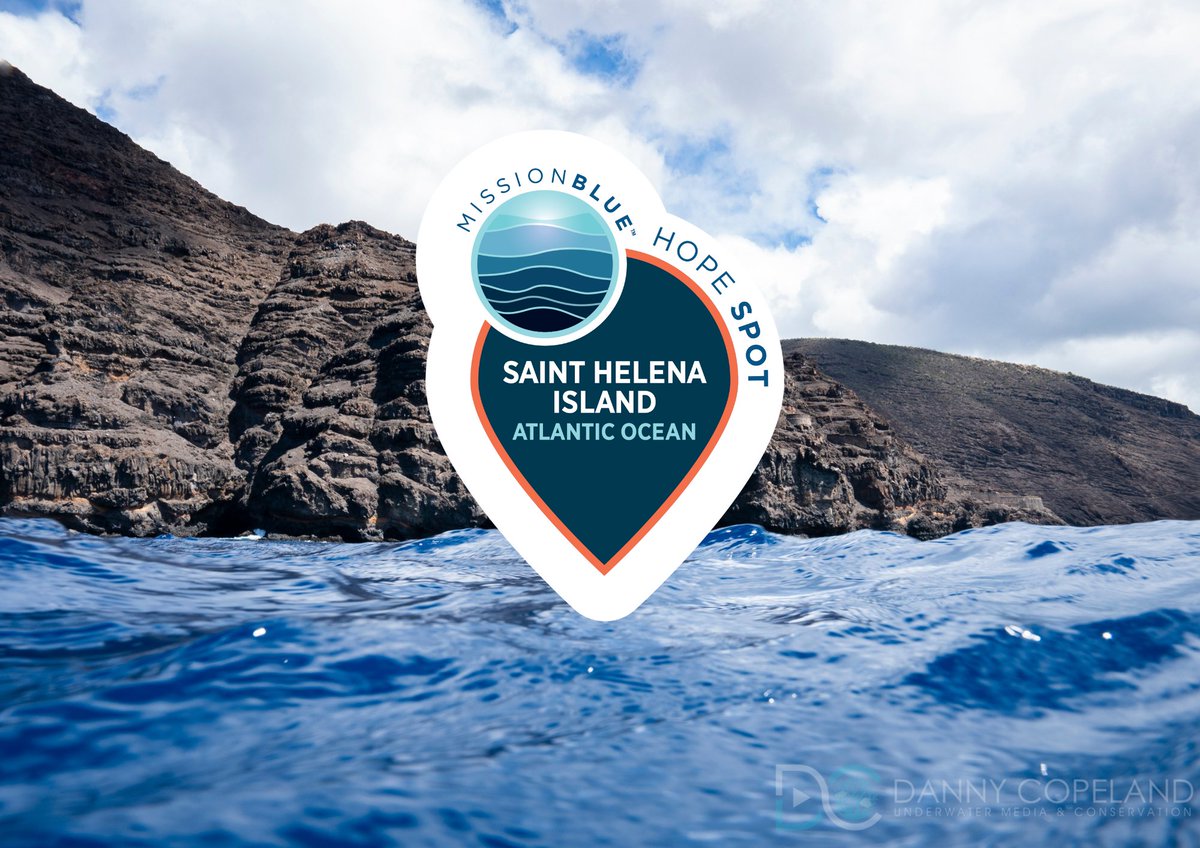 We are pleased to share that Saint Helena has become a Mission Blue Hope Spot! 🌊 [1/5] 
#MissionBlue #HopeSpot #StHelena
