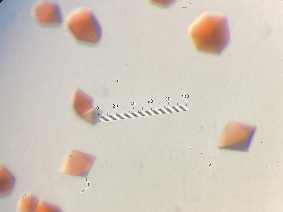 A #funded #PhDposition is available in my lab. come and work with pretty red crystals! Details below. Deadline 4th Jan 2024. Get in touch if you have any questions! 
warwick.ac.uk/fac/cross_fac/…
#crystallography #spectroscopy #electrochemistry