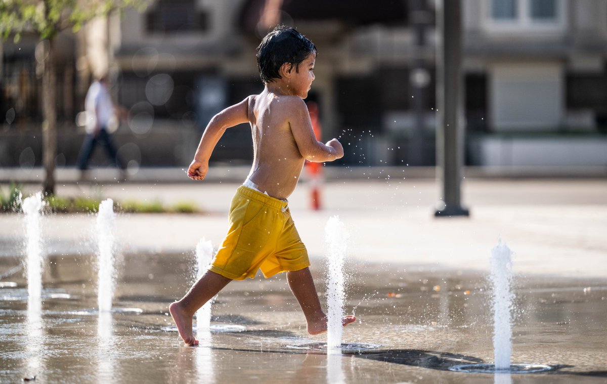 Downtown Dallas Parks Conservancy tweet media