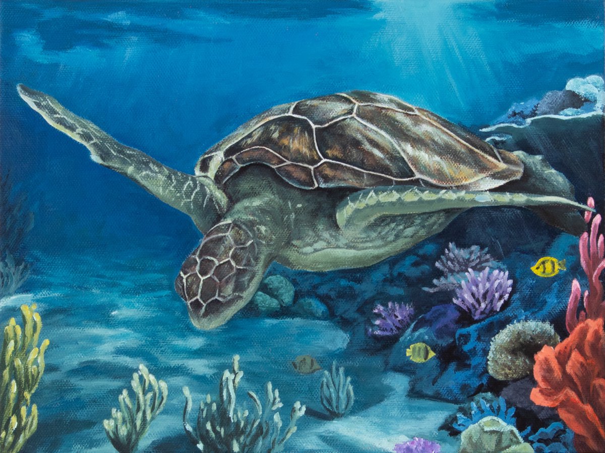 dmbartwork's tweet photo. First time doing an underwater scene and I think it turned out pretty well. This 9x12” was commissioned as a birthday/anniversary gift. https://t.co/K6TRnKyzmb