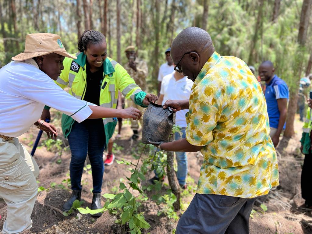 fatahabdi25's tweet photo. It was a great day joining @TheIEK president @Eng_ErickOhaga , @EngineersBoard chairperson @EngEKMwongera and my senior @amhoward3 in today's tree planting activity at (BFT) which was organised by @BamburiCement in collaboration with IEK Cost Branch members @ChristineNdolo2 https://t.co/eBnQy7m4FB