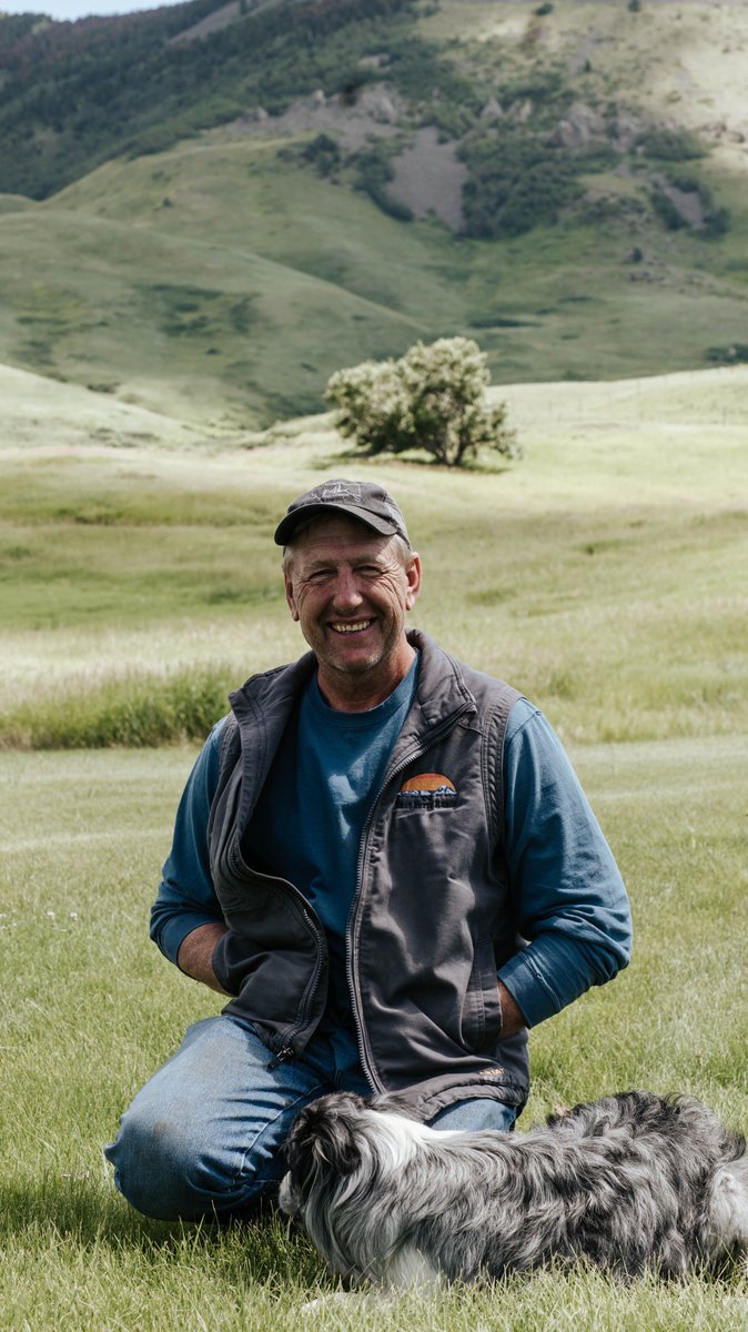 'I'm not a master of anything but a apprentice to a lot of things...' - Matt Clark, West Butte Ranch

#farming #ranching #agriculture #carecertified#wherefoodcomesfrom #montana #everymealhasastory