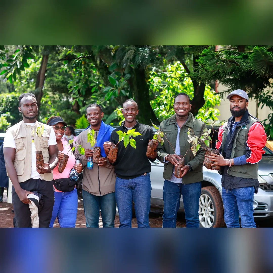 RegentAlpine's tweet image. We commemorated the National Tree Planting Day at the Kileleshwa Primary school. We thank the Kileleshwa community and the leadership for the hospitality and goodwill for the environment at large.
@RobertAlai