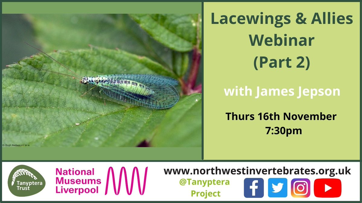 Coming up on Thursday we have Part 2 of Lacewings and Allies with James Jepson. Book your place here: eventbrite.co.uk/e/lacewings-al… If you missed Part 1 you can catch up before Thursday on our YouTube Channel: youtube.com/watch?v=eCqPe4…