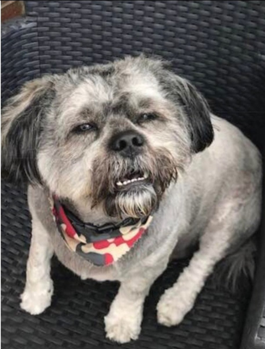 Cally Magee tweet media