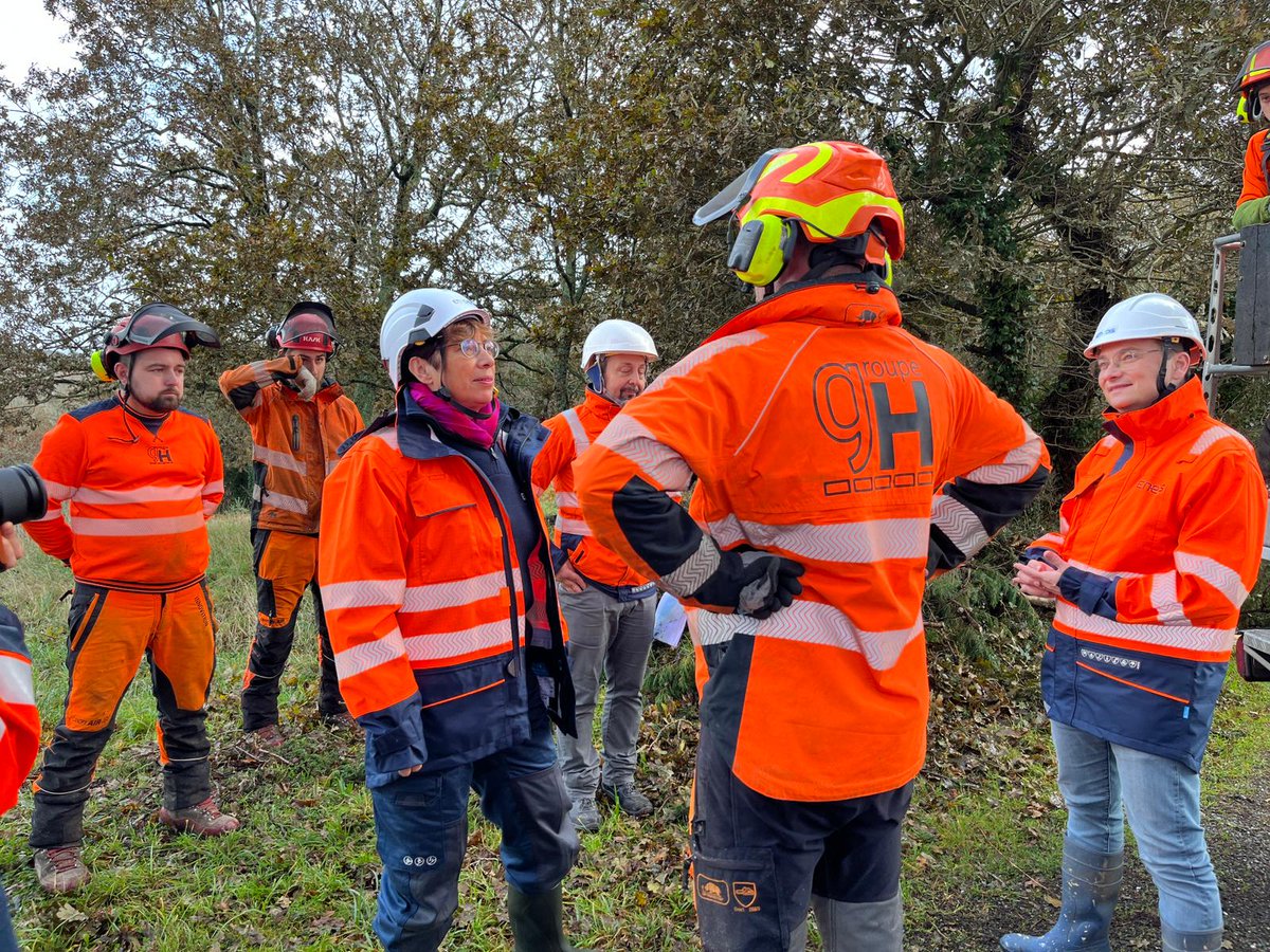 Marianne Laigneau tweet media