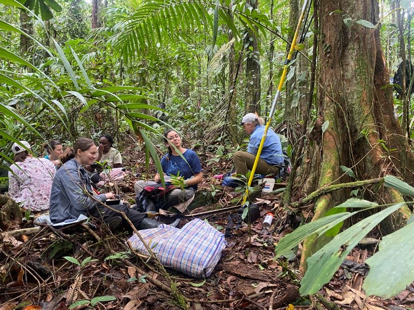 Join us in one of the best courses in tropical plant taxonomy and ecology! We started the recruitment for our renowned biology and systematics of tropical plants. environment.fiu.edu/ictb/tropical-…