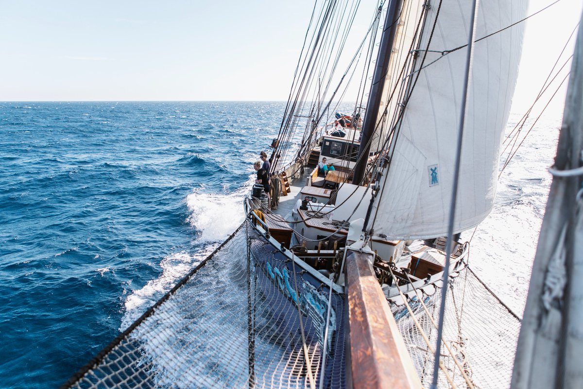 AnotherWorldAdv tweet media