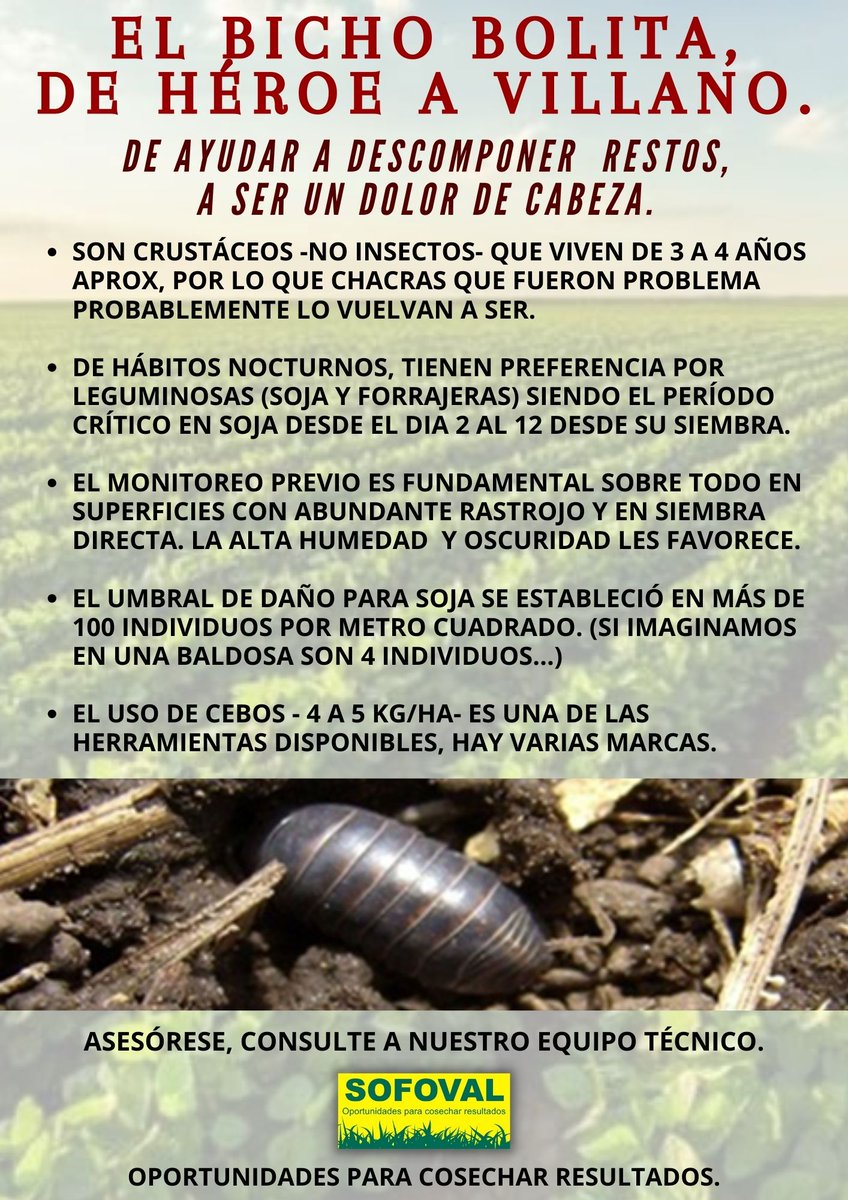 SOFOVAL (@sofoval) on Twitter photo 