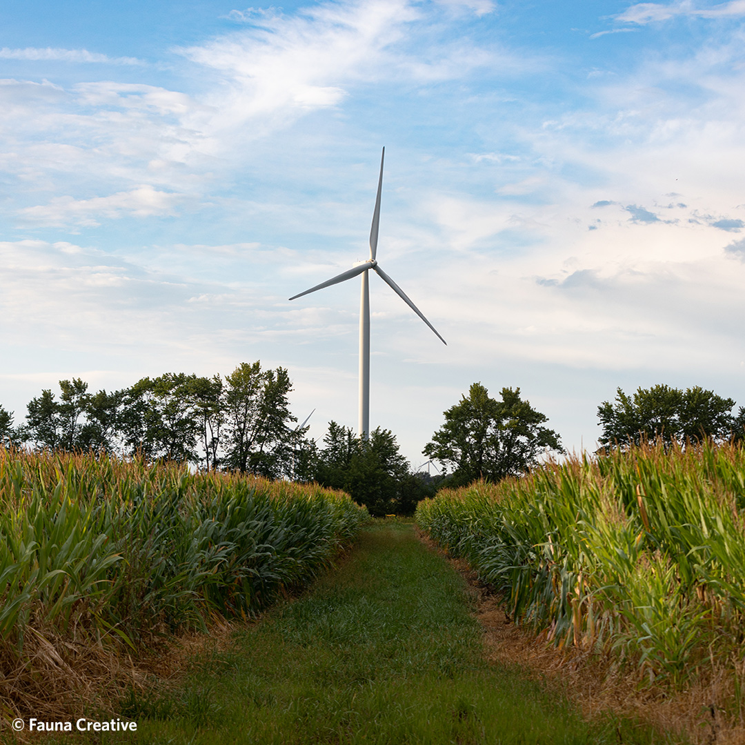 More on TNC's new "Charting a Clean Energy Future" report in this Energy Portal article.  TNC is helping the business community achieve their renewable energy goals while ensuring the protection of agriculture and natural habitats. nature.ly/3ujxT6C