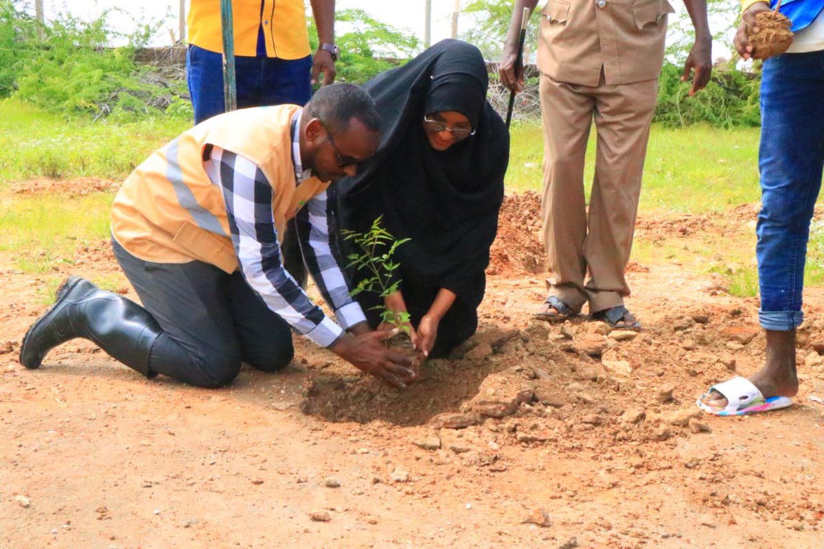 abduhar's tweet photo. Residents of Mandera South Constituency joined other Kenyans in commemorating the National Tree Planting Day today. This special day is dedicated to the planting and caring for trees. 

The Mandera South Constituency Office and the office of the MP used the occasion to raise awareness about the importance of trees in our environment and encouraged individuals and communities to take action in planting and preserving trees. 

A dedicated County Government Minister Ms Sumeya, the CEC for Special Programme in Mandera County Government and the NGCDF Chairman Mandera South Constituency were not left behind… @NGCDF_Kenya @CdfmanderaSouth @StateHouseKenya @Environment_Ke @HonTuya