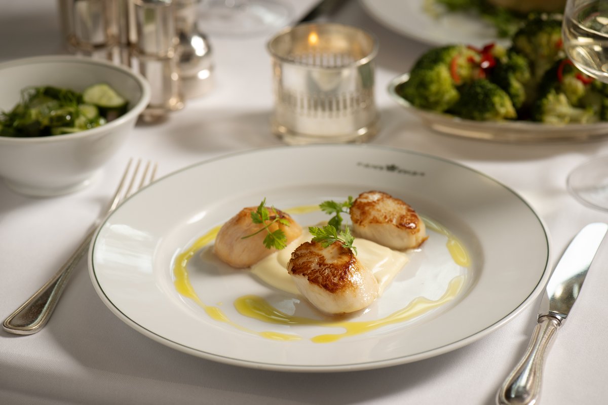 Seared Scallops with cauliflower purée and lemon oil to start