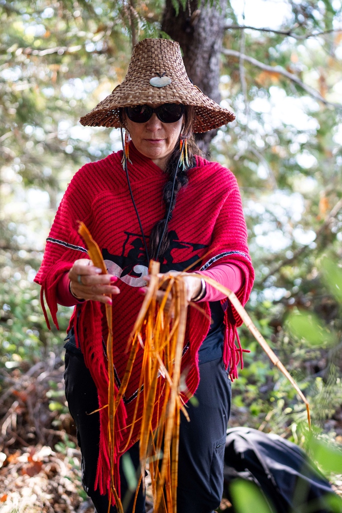 Homalco Wildlife & Cultural Tours tweet media