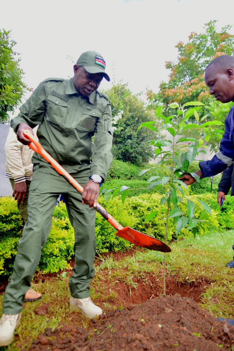 Tree planting is one of the best way to curb Climate Change that is ...