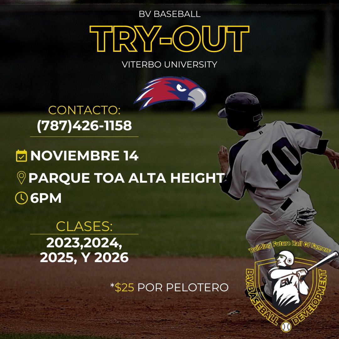 Bv Baseball tweet media