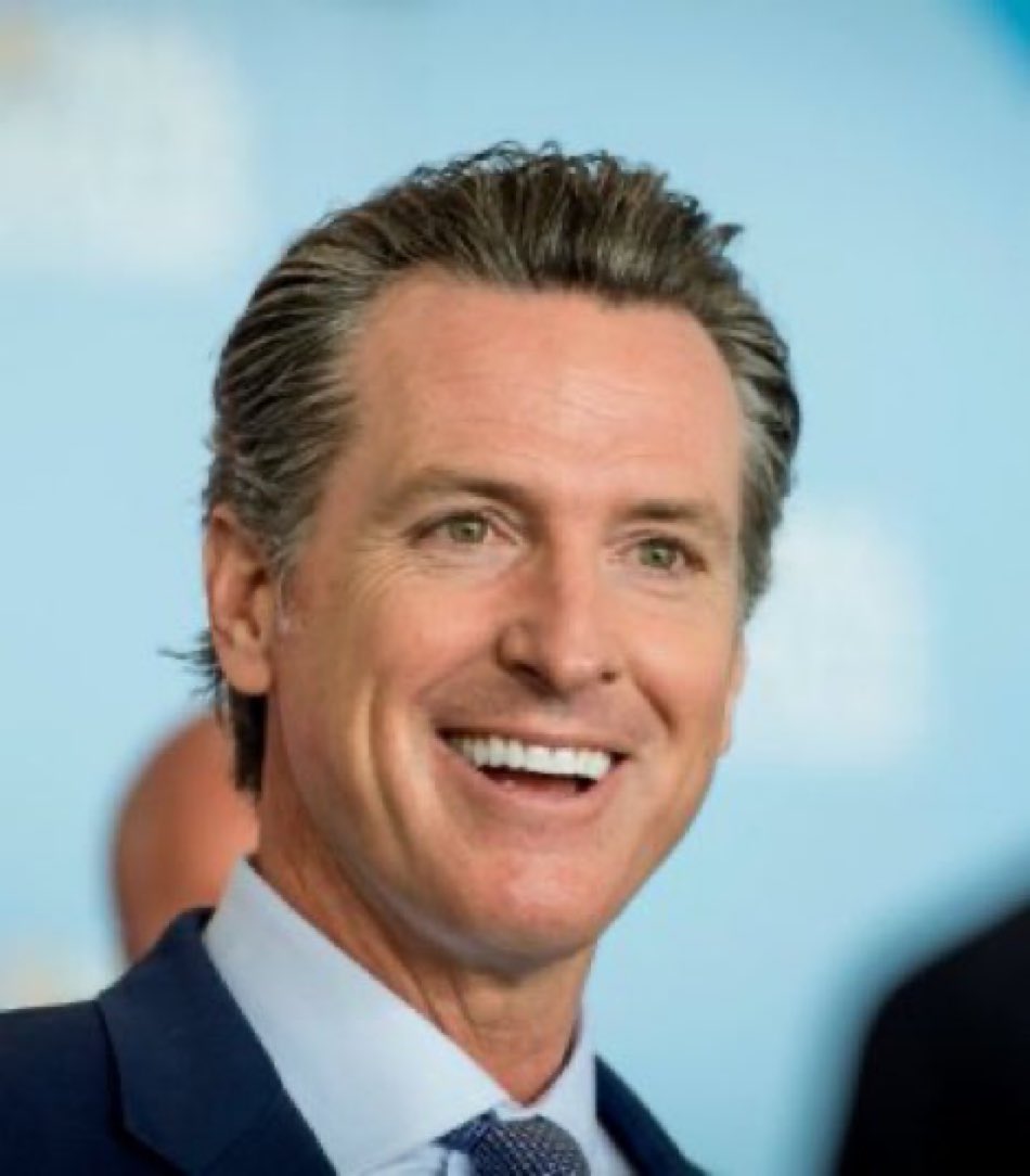 What comes to your mind when you see Governor Gavin Newsom?