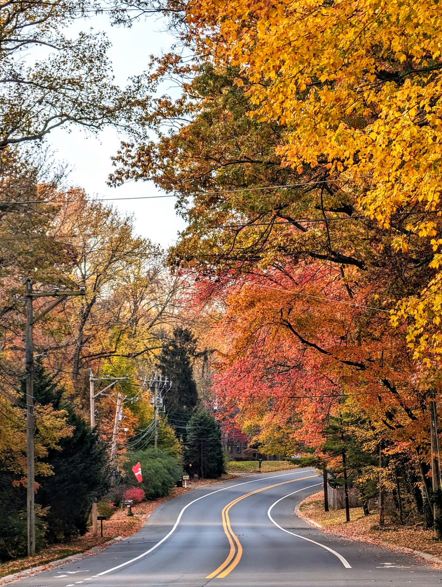 Did you know Pennsylvania State has the longest, most varied fall foliage season in the world.  Taken on a <a href="/GooglePixel_US/">Google Pixel</a> 
8 Pro, using the 5x zoom lens for a change.
