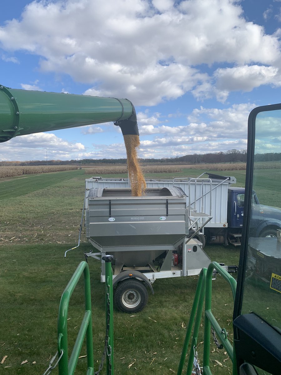 Corn harvest is almost complete on the <a href="/KBSLTER/">Kellogg Biological Station LTER</a>!