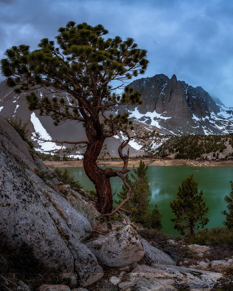 tibetsmoke.eth tweet media