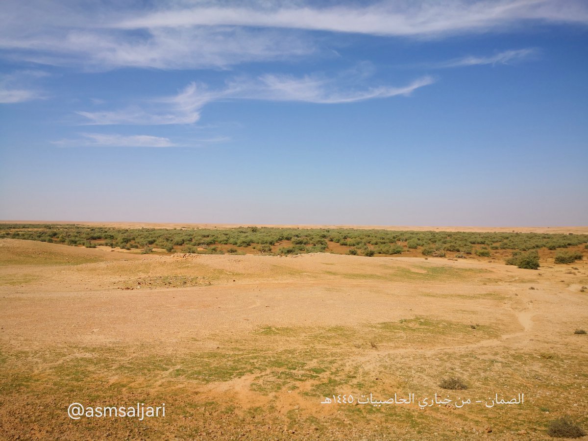 ستكون بإذن الله تعالى اجازة مدارس الأسبوع القادم والله أعلم
هناك بعض المعلومات عن الصمان التي لعلها تفيد... ساذكر ما أستطيع منها بعد مروري بشماله  نهاية الأسبوع الماضي ايام ٢٥و٢٦و٢٧ ربيع الثاني ١٤٤٥هـ 
ومنها :
- مررت #مناخ شمال  خباري الحاصبيات  في الصمان ولم أجد فيها أي نوع من