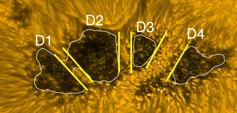 Featured Image: Watching Waves in Sunspot Centers Researchers analyze solar images to understand how umbral oscillations travel upward and outward from sunspot centers. aasnova.org/2023/11/13/fea…