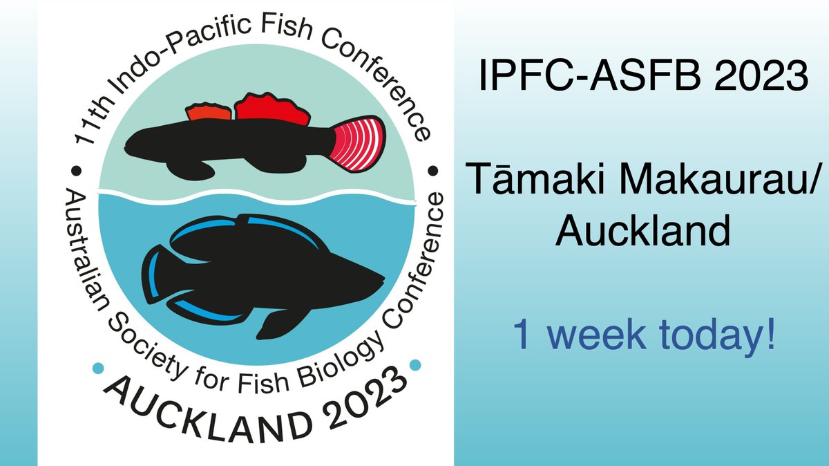 IPFC2023 (@ipfc2023) on Twitter photo ππ π¦ππ π¦ππ π¦ππ π¦ππ π¦ππ π¦
IPFC11 Aotearoa-New Zealandπ³πΏ20-24th Nov 2023
βΌοΈ Don't forget to upload your presentation slidesπΌοΈ via the IPFC11 website before:- 16th November 12pm (NZtime)β°
<a href="/AucklandUni/">University of Auckland | Waipapa Taumata Rau</a> <a href="/ScienceUoA/">Faculty of Science, University of Auckland</a> <a href="/AustSocFishBiol/">ASFB</a> ππ π¦ππ π¦ππ π¦ππ π¦ππ π¦ππ π¦
IPFC11 Aotearoa-New Zealandπ³πΏ20-24th Nov 2023
βΌοΈ Don't forget to upload your presentation slidesπΌοΈ via the IPFC11 website before:- 16th November 12pm (NZtime)β°
<a href="/AucklandUni/">University of Auckland | Waipapa Taumata Rau</a> <a href="/ScienceUoA/">Faculty of Science, University of Auckland</a> <a href="/AustSocFishBiol/">ASFB</a>